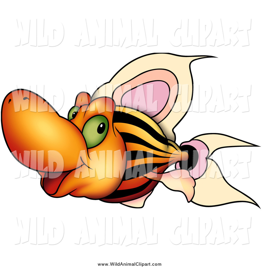 1024x1044 Royalty Free Fish Stock Wildlife Designs
