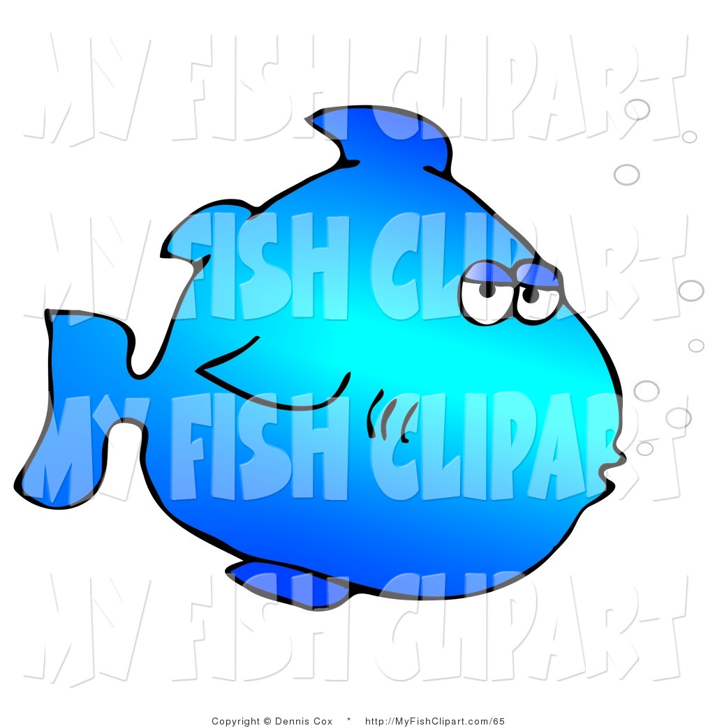 1024x1044 Saltwater Fish