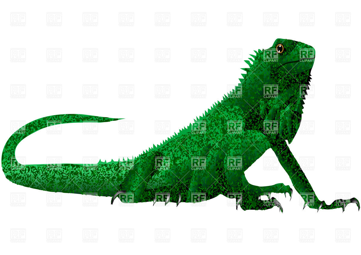 1200x849 Green Iguana (Lizard) Royalty Free Vector Clip Art Image