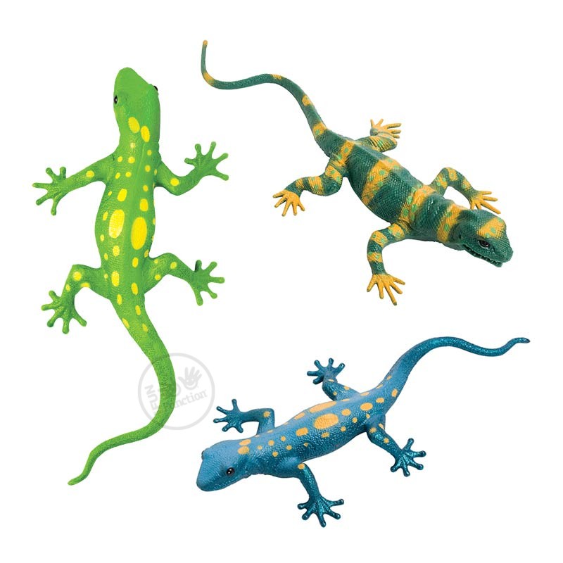 800x800 Realistic Clipart Lizzard 3841895