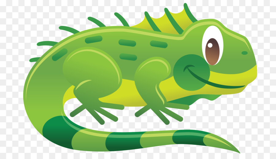 900x520 Chameleons Reptile Green Iguana Lizard Clip Art