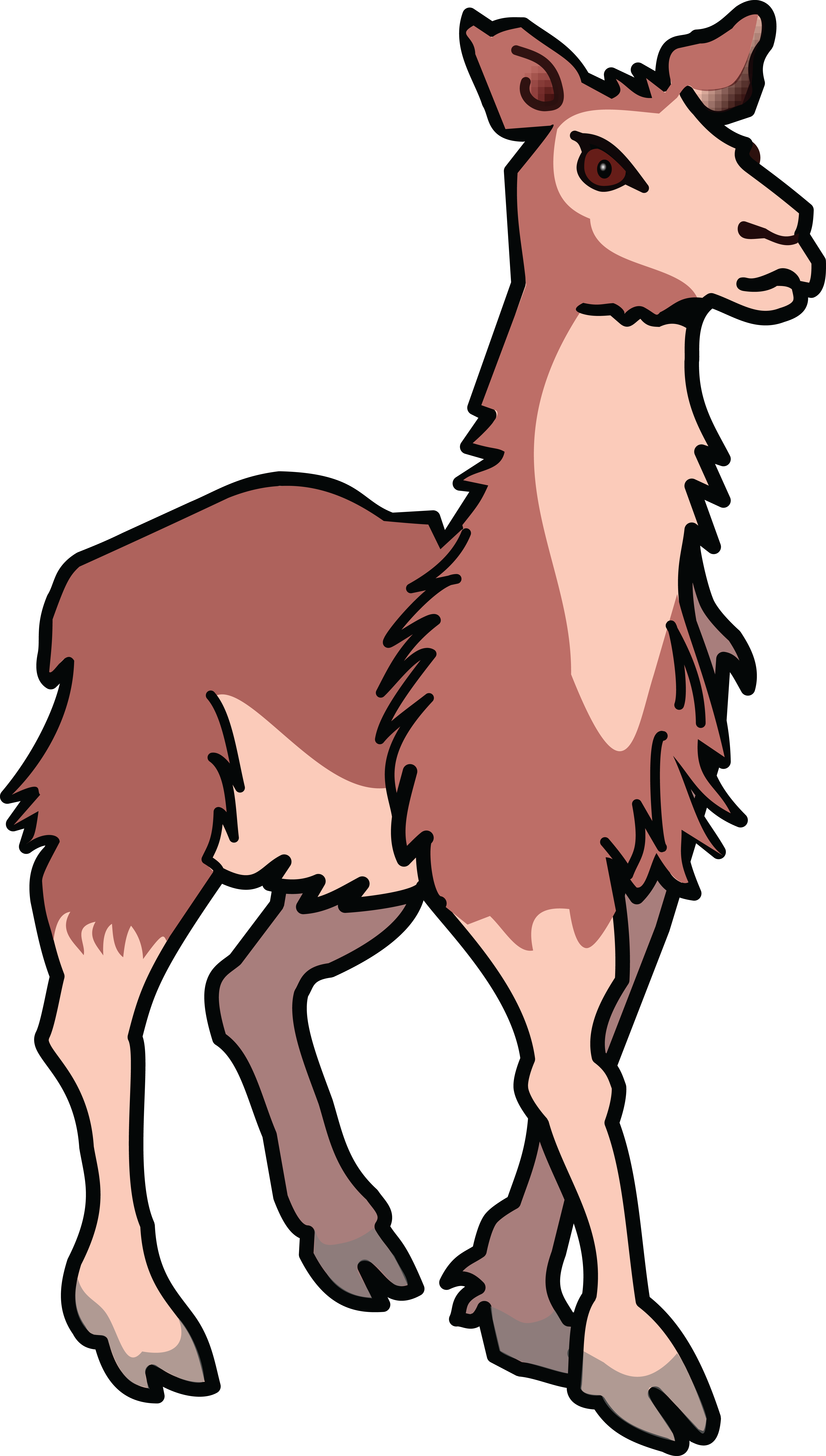 4000x7051 Free Clipart Of A Llama