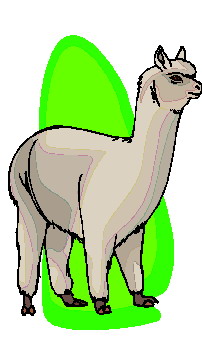 202x337 Llama Clipart Animated
