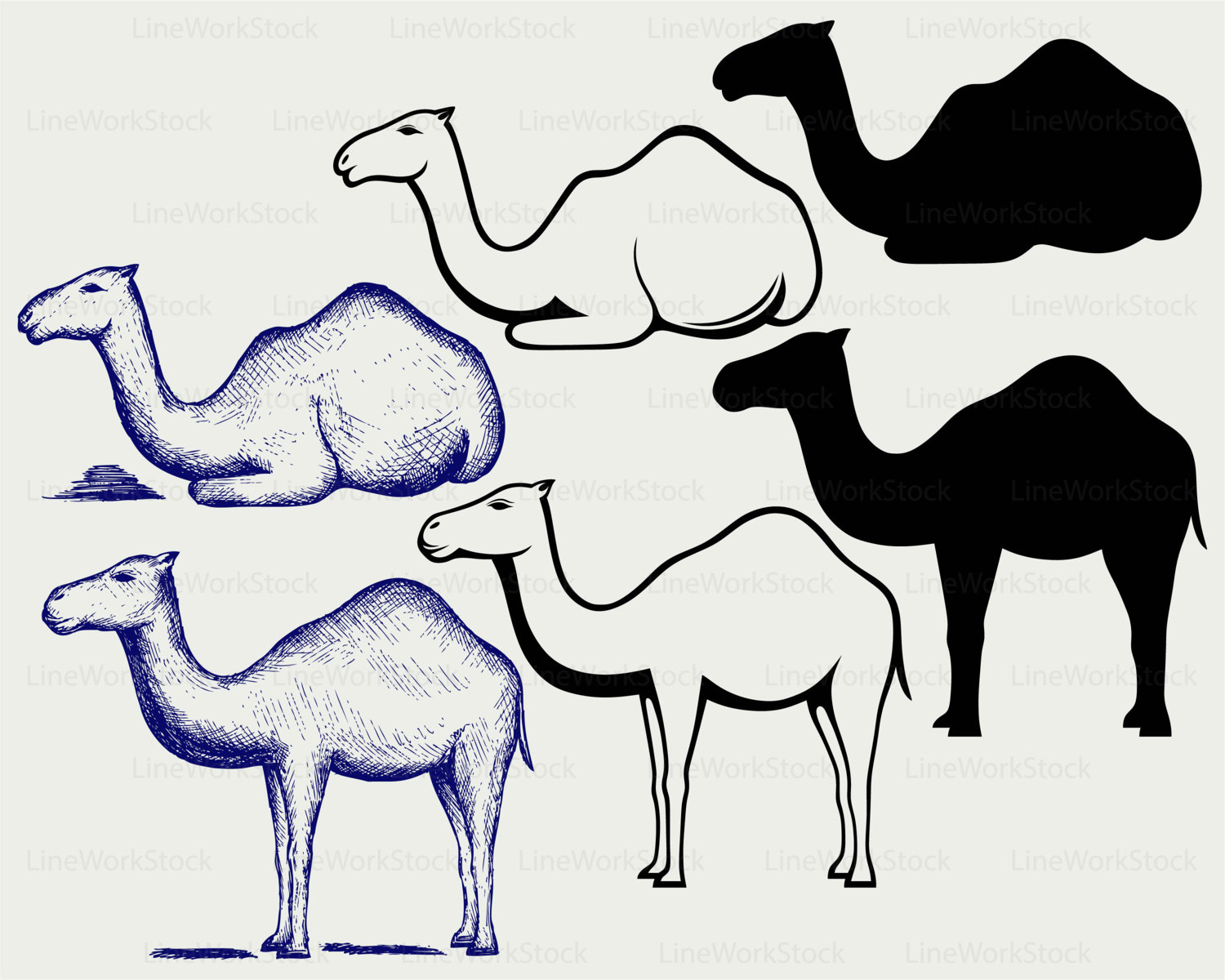 1500x1200 Camel Svgcamel Clipartcamel Svgcamel Silhouettecamel Cricut