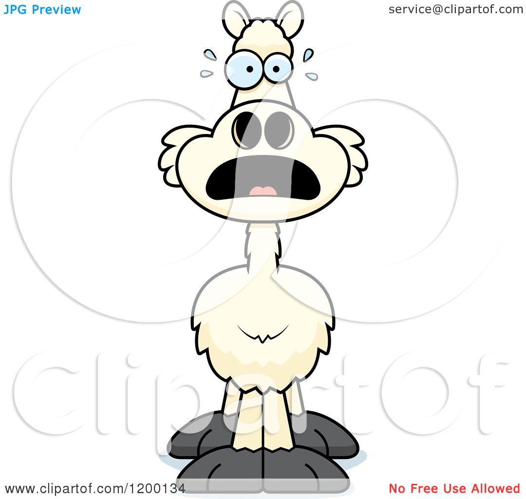 1080x1024 Cartoon Of A Scared Llama