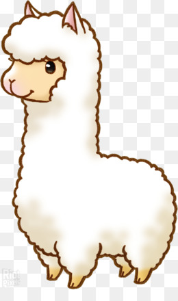 260x440 Llama Alpaca Drawing Cartoon Clip Art