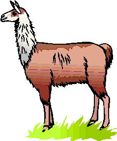 238x287 Llama Clipart Clip Art