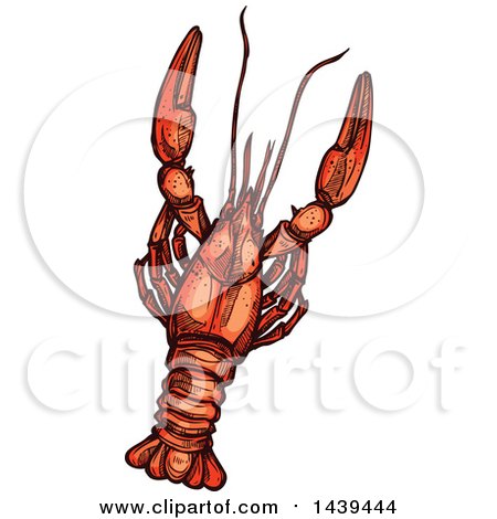 450x470 Clipart Of A Lobster Seafood Design