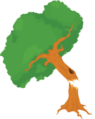 371x462 Fallen Tree Clipart