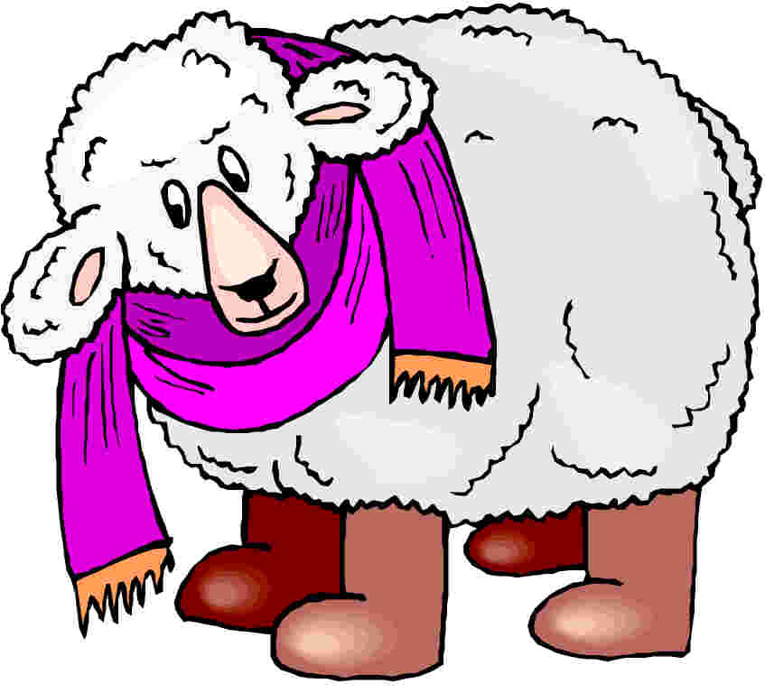 847x768 Sheep Cartoon Clip Art
