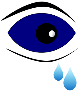 266x300 730 Free Vector Eye Glasses Public Domain Vectors