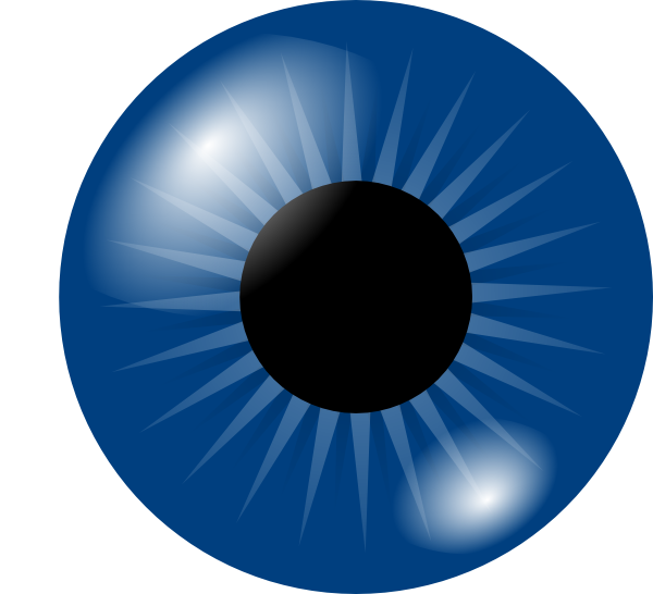 600x546 Cartoon Eyes Dark Blue Eye Clip Art