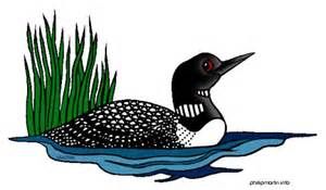 Loon Clipart at GetDrawings | Free download