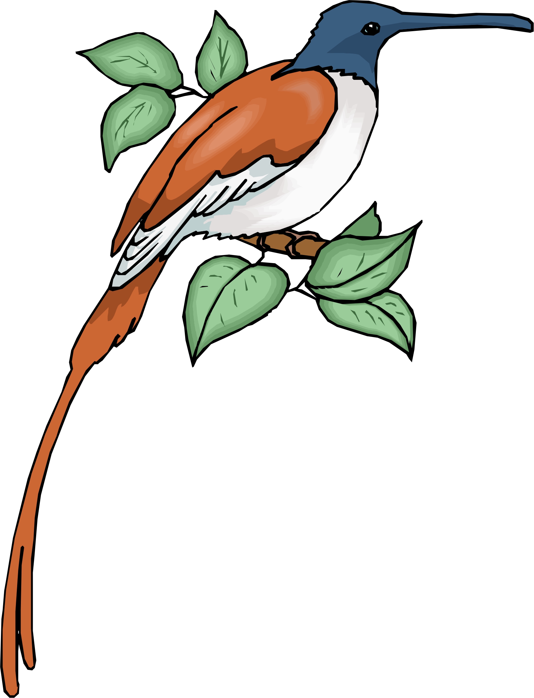 1713x2239 Lorax Clipart