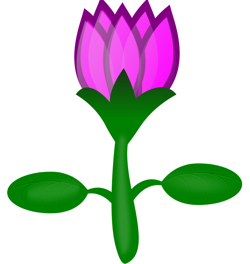 850x900 Lotus Clipart Png