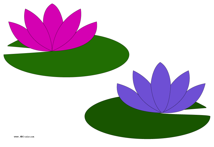822x567 Pond Flower Clipart, Explore Pictures