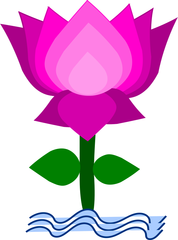 593x800 Free Clipart Lotus Gsagri04