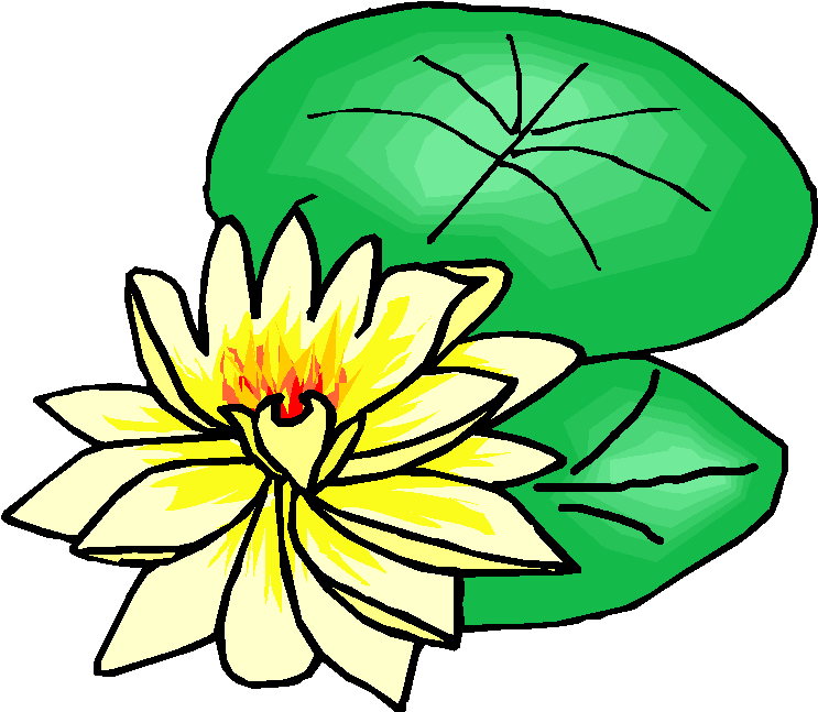 743x647 Lotus Blossom Cliparts