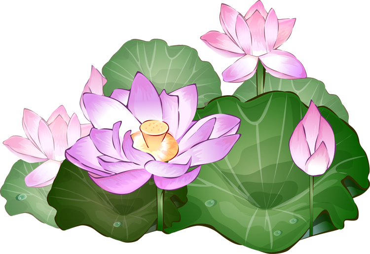 750x515 Lotus Flower Clip Art