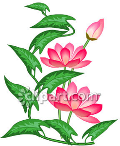 247x300 Pink Lotus Flowers Clipart Image Image Flowers 3