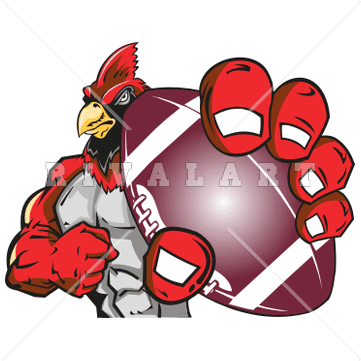 361x361 Cardinal Clipart Muscular