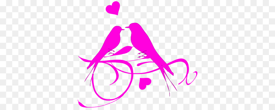 900x360 Lovebird Clip Art