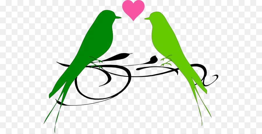 900x460 Lovebird Clip Art