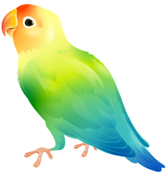 575x600 Parrot Bird Png Clip Art Imageu200b Gallery Yopriceville