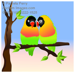300x290 Clip Art Image Of Two Lovebirds Sitting On A Tree Branch