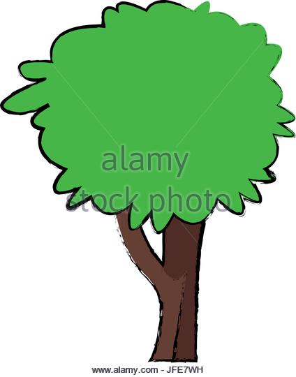 424x540 Willow Tree Stock Vector Images