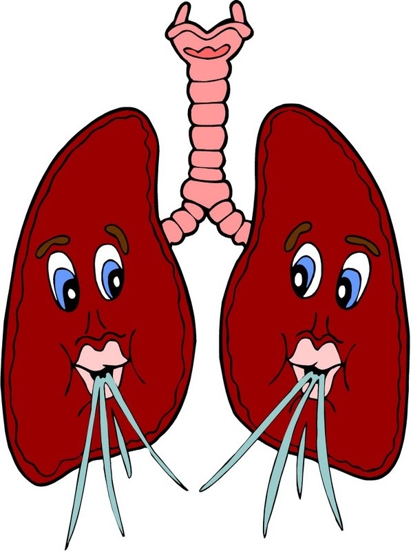 597x800 Cool Of Lungs Clipart For Kids