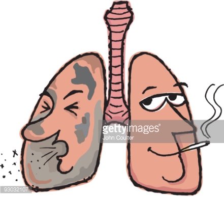 441x387 Collection Of Cartoon Drawing Of Lungs High Quality, Free