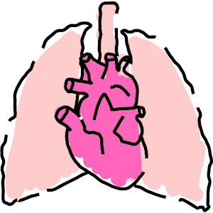 300x300 Sensational Lungs Clipart Free Download Lung Clip Art Small