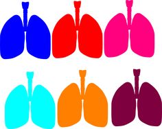 236x188 Lung Blue Clip Art