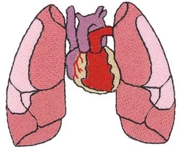 350x299 Best Of Lungs Clipart For Kids