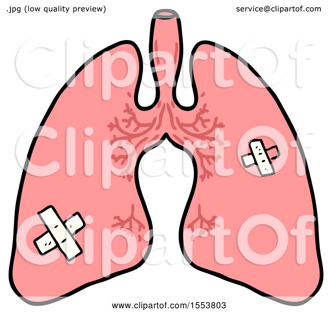 1080x1024 Cartoon Lungs By Lineartestpilot