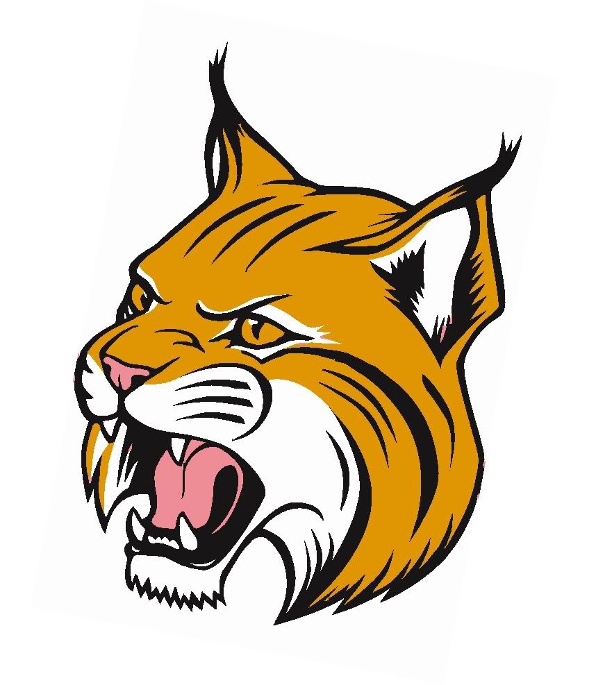 858x987 Wildcat Clipart Free Mascot Needed