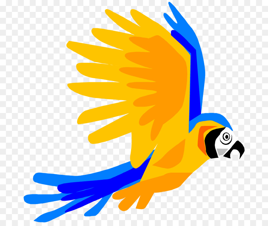 900x760 Parrot Bird Flight Macaw Clip Art