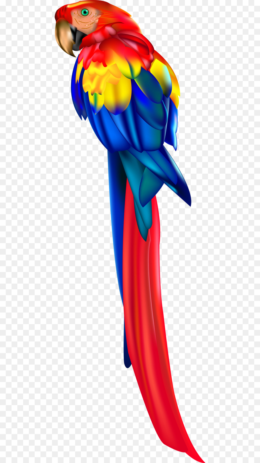 900x1600 Parrot Macaw Clip Art