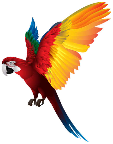 471x600 Parrot Png Transparent Clip Art Image Art