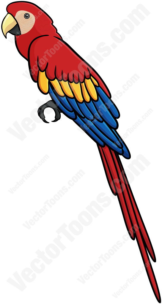545x1024 Scarlet Macaw Cartoon Clipart Vector Toons