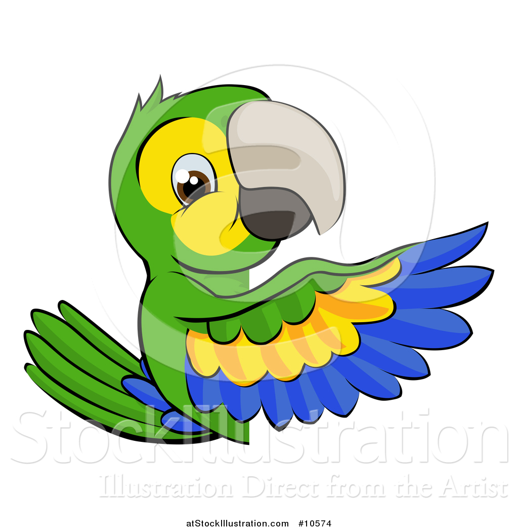 1024x1044 Vector Illustration Of A Cartoon Green Macaw Parrot Pointing