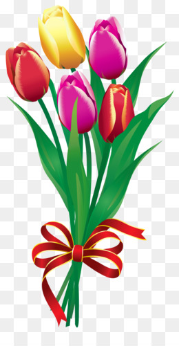 260x500 Lily Family Png And Psd Free Download