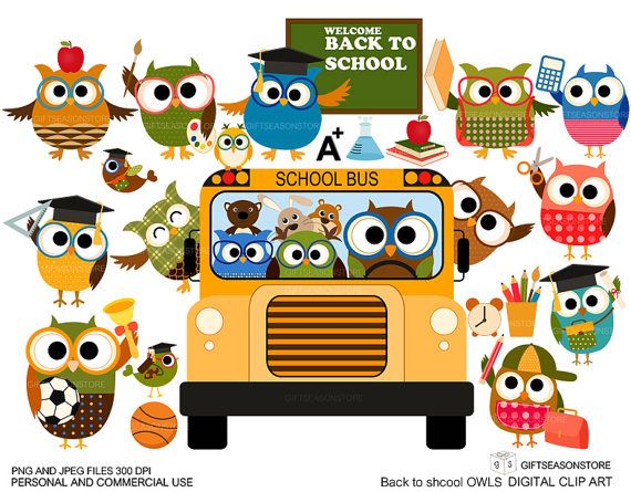 570x445 183 Best Magic School Bus Images On Magic School Bus