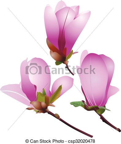 395x470 Magnolia Vectors Illustration