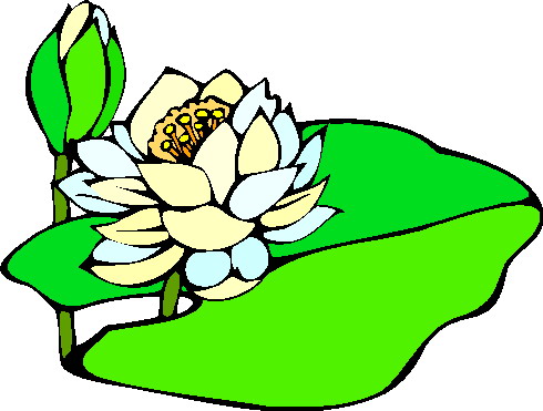 490x371 Water Lily Clip Art