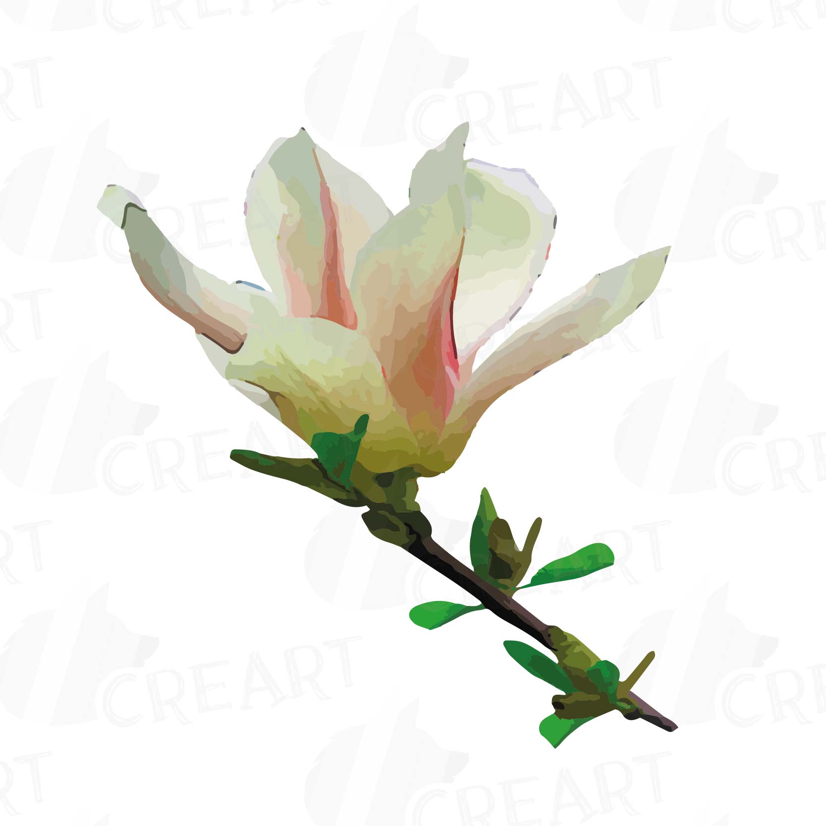 1667x1667 Watercolor Pink Magnolia Flower And Lea Design Bundles