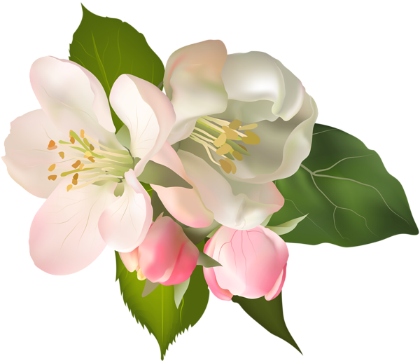 600x518 Blossom Spring Fower Png Clip Art Imageu200b Gallery Yopriceville