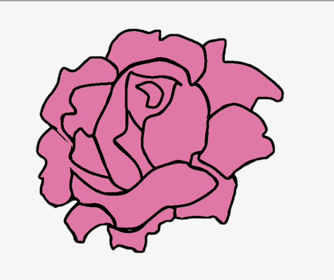 650x546 Cartoon Purple Magnolia, Magnolia, Magnolia Flower, Plant Png