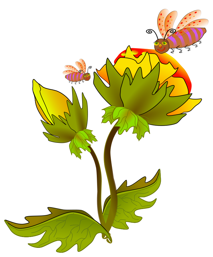 746x900 Flower Images Clipart Group